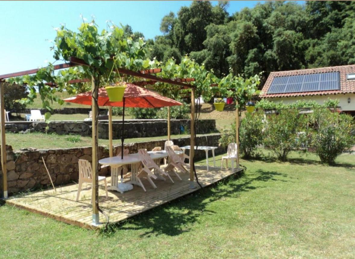 Gites Carbuccia En Corse Avec Piscine Chauffee 외부 사진