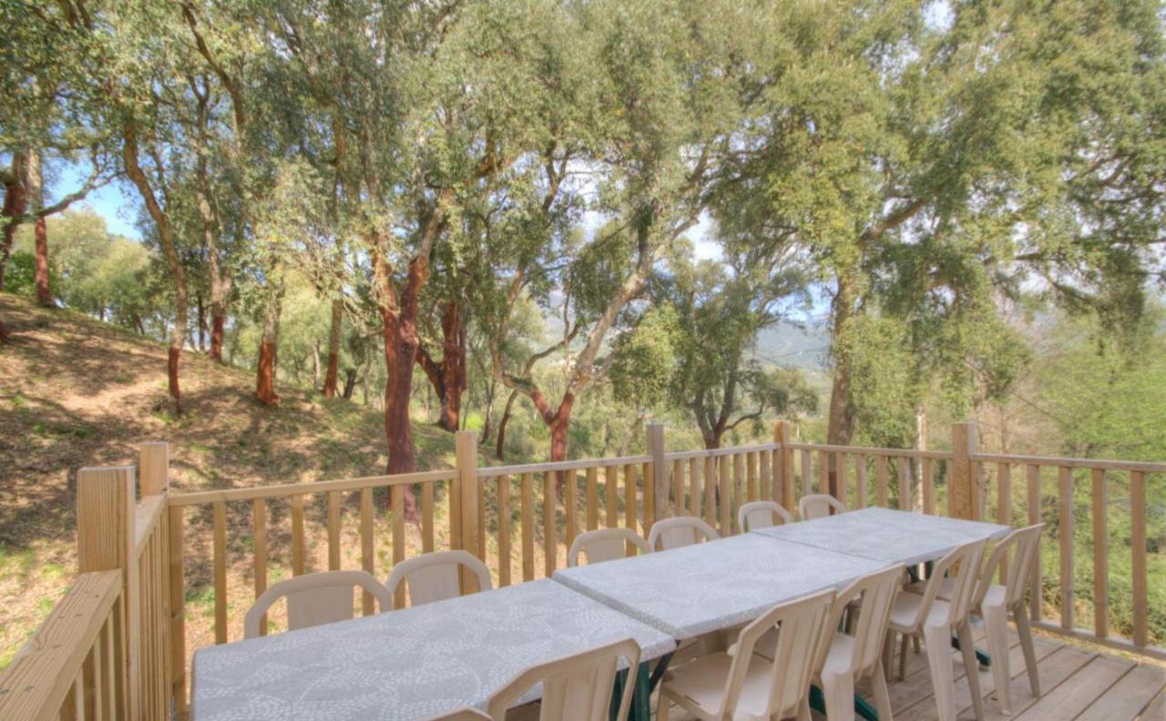 Gites Carbuccia En Corse Avec Piscine Chauffee 외부 사진