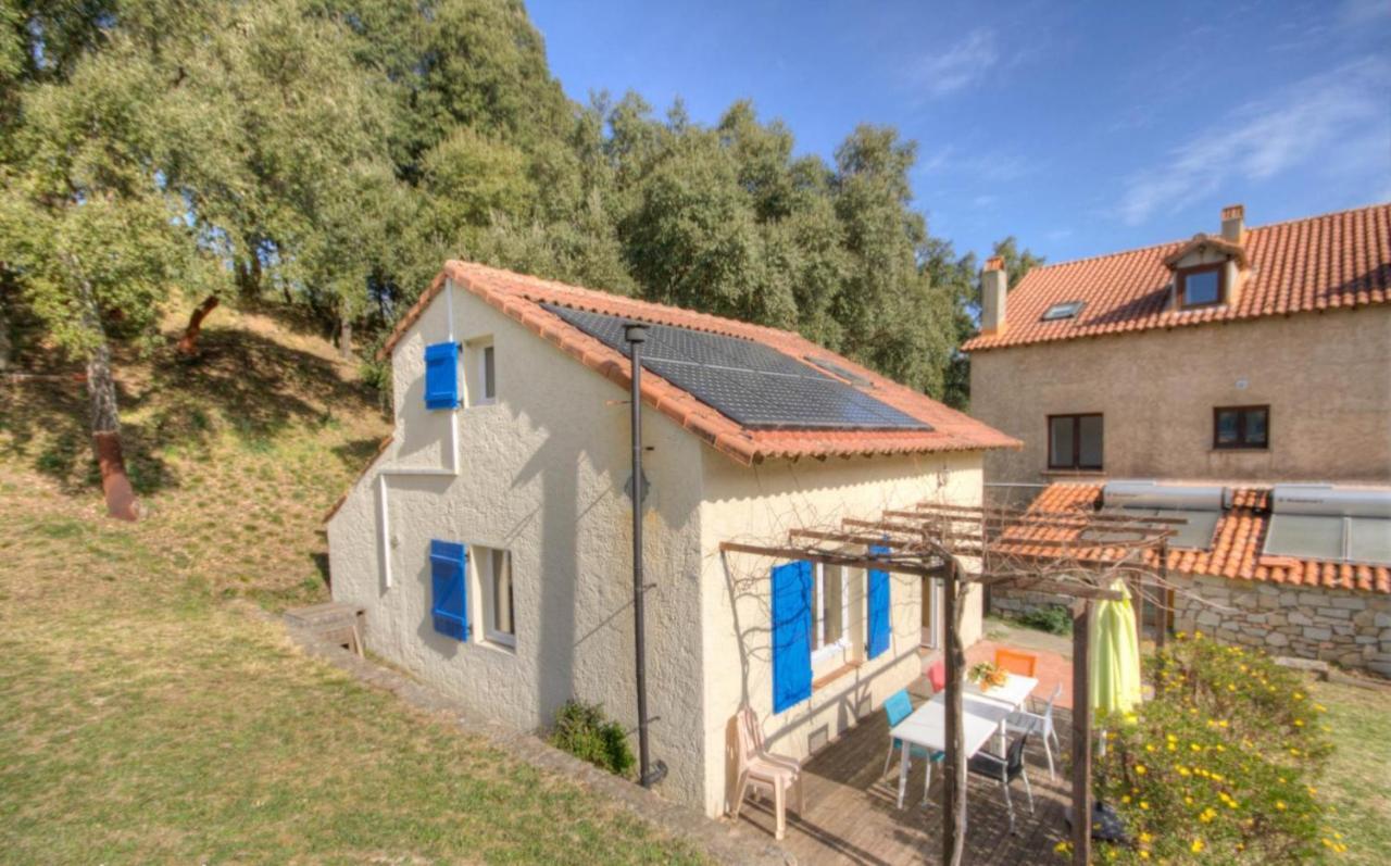 Gites Carbuccia En Corse Avec Piscine Chauffee 외부 사진