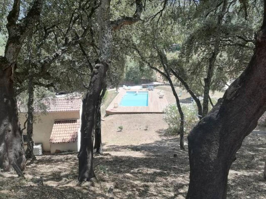 Gites Carbuccia En Corse Avec Piscine Chauffee 외부 사진