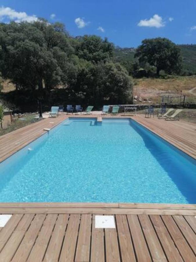 Gites Carbuccia En Corse Avec Piscine Chauffee 외부 사진