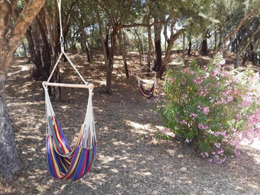 Gites Carbuccia En Corse Avec Piscine Chauffee 외부 사진